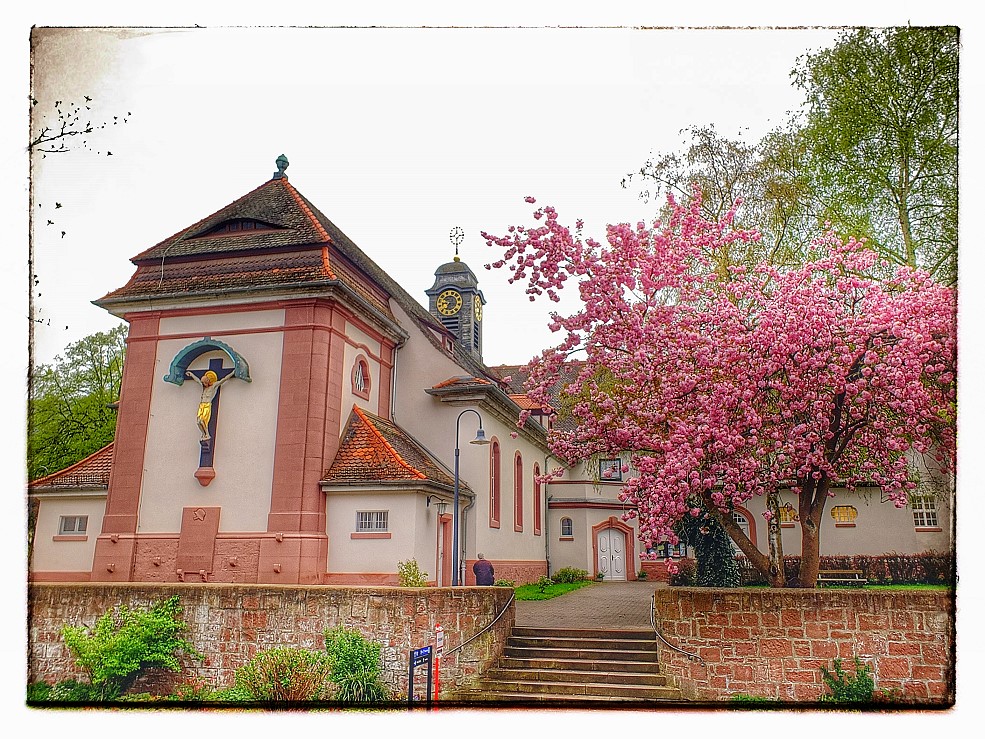 Jahreskonzert des Zupfensemble Lohr mit dem Frauenstimmenensemble LoHreley